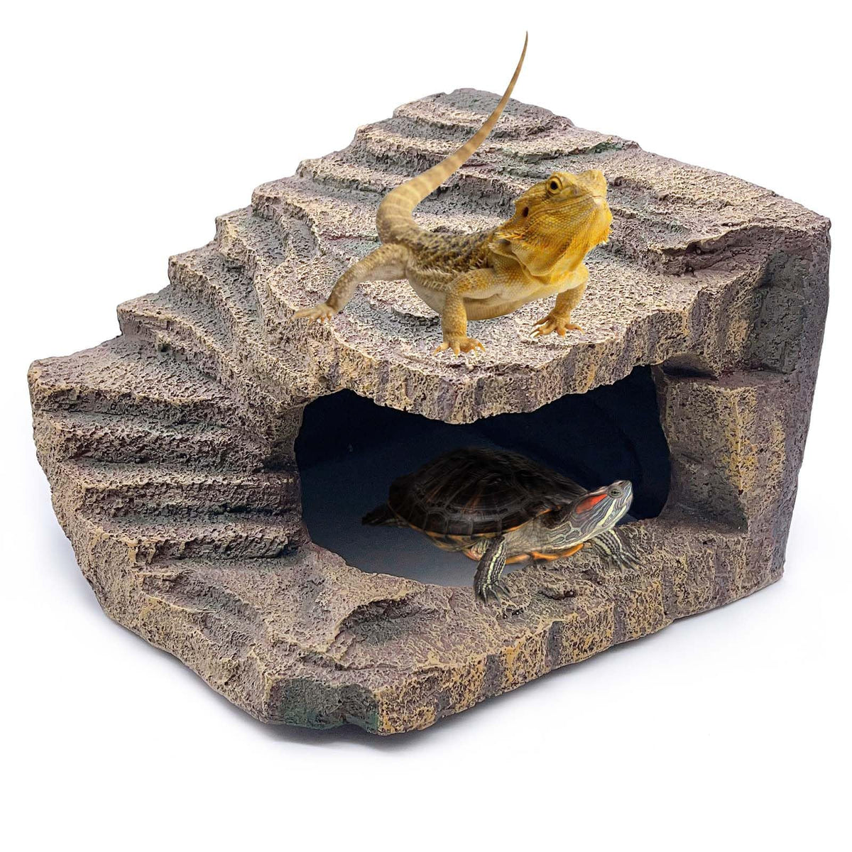 Kathson large turtles basking platform for sunning and climbing.