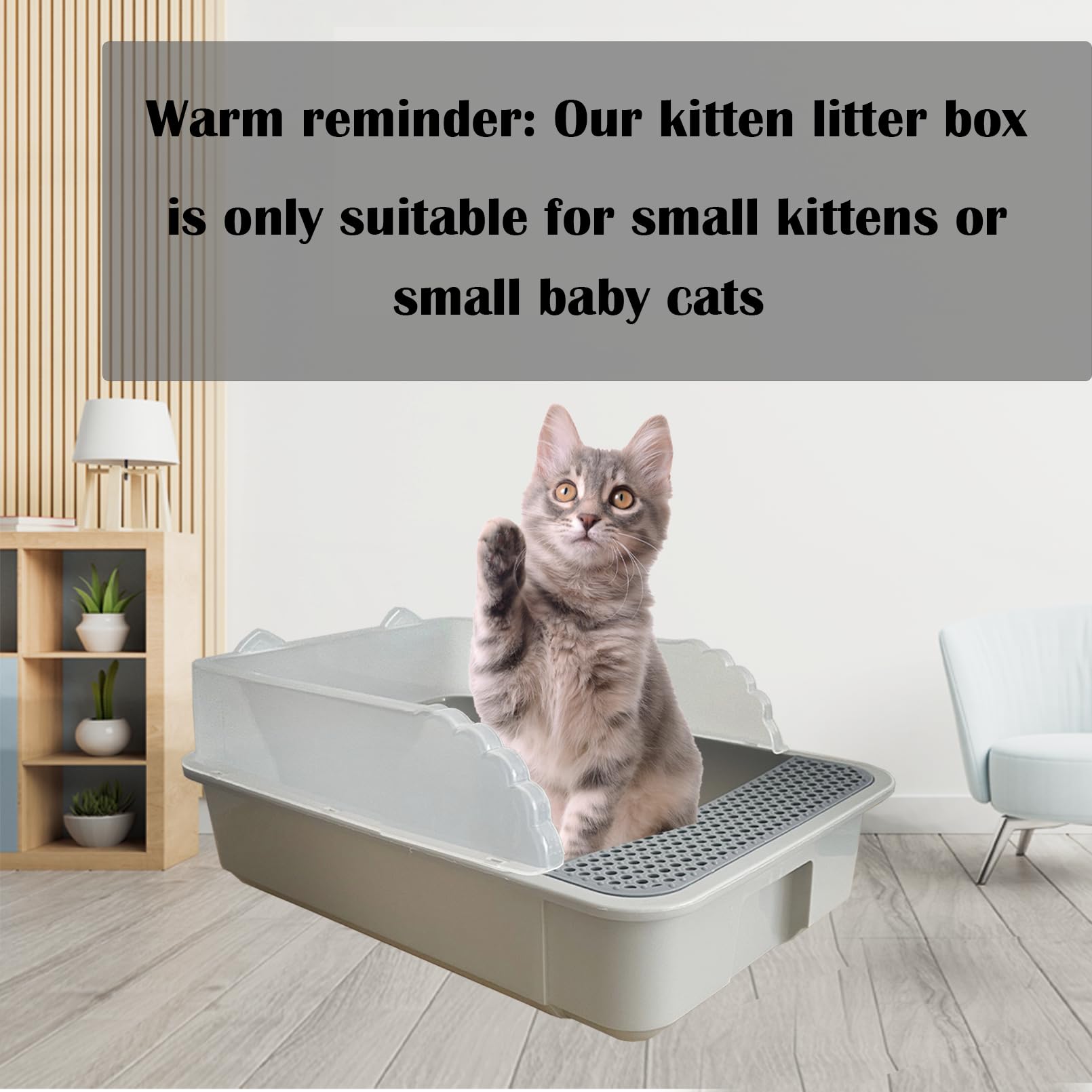 Kathson low-entrance design litter pan for easy kitten entry.