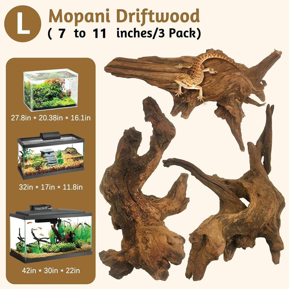Kathson Mopani wood natural branch enhances aquascape with unique shapes.