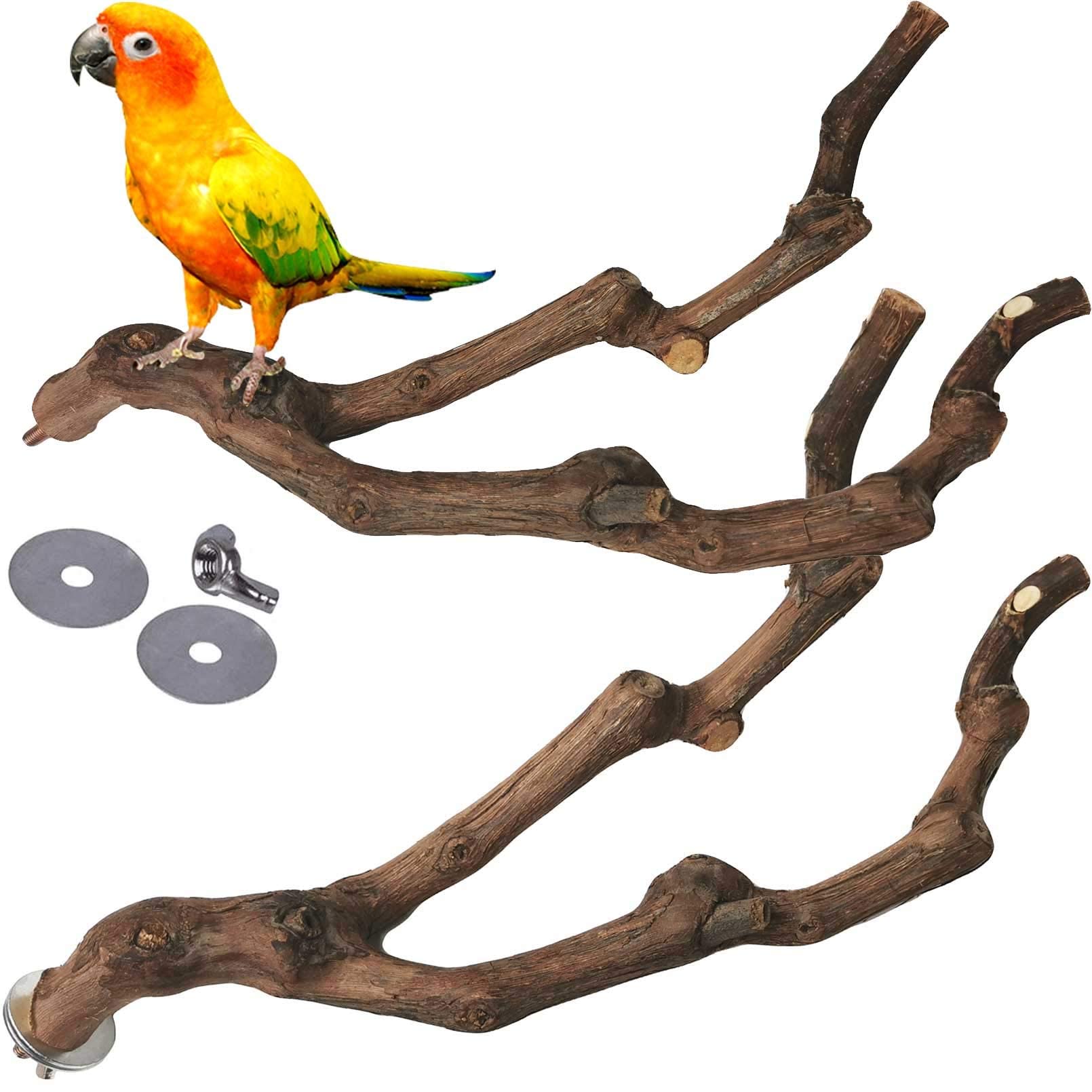 Kathson natural grapevine perch provides secure grip for small birds.