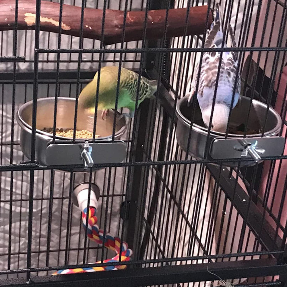 Kathson parrot feeding spoons and toys enhance interactive feeding sessions.