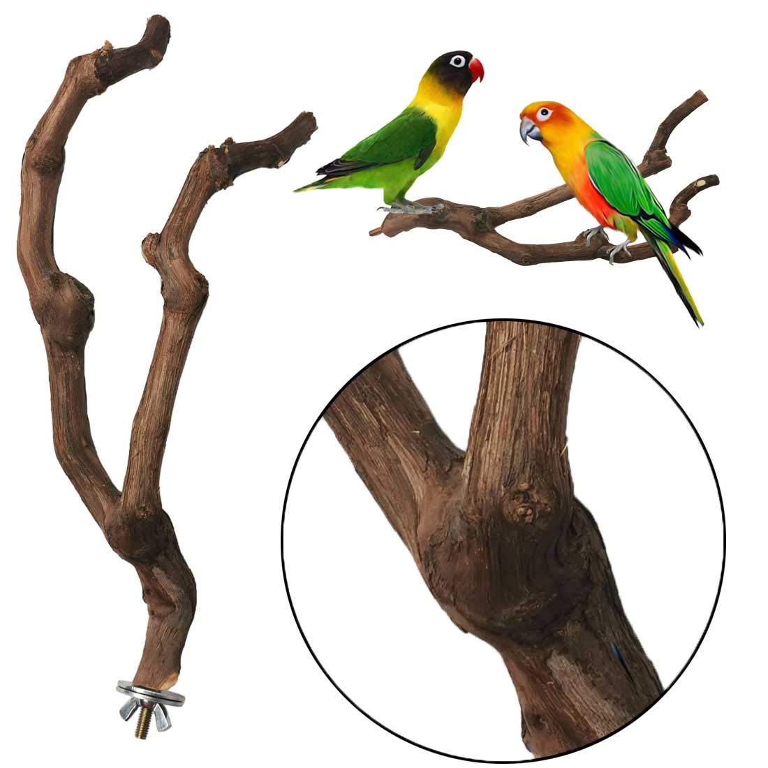 Kathson parrot perch with varied diameter supports foot exercise.