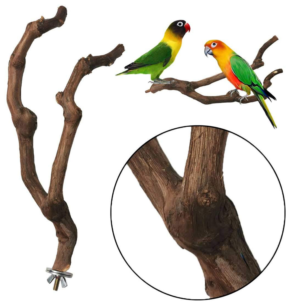 Kathson parrot perch with varied diameter supports foot exercise.