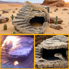 Kathson resin reptile hiding cave provides safe, cozy retreat.