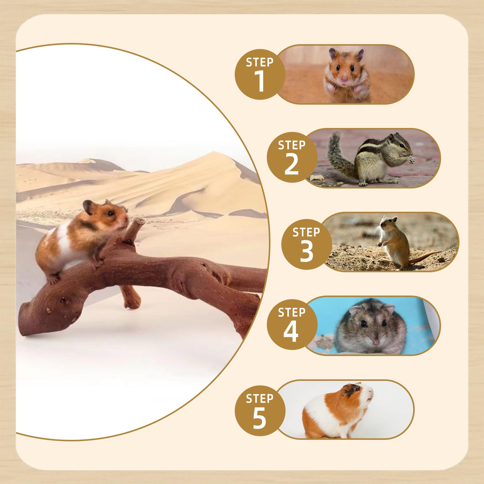 Kathson small pet climbing toy promotes active play and exercise.