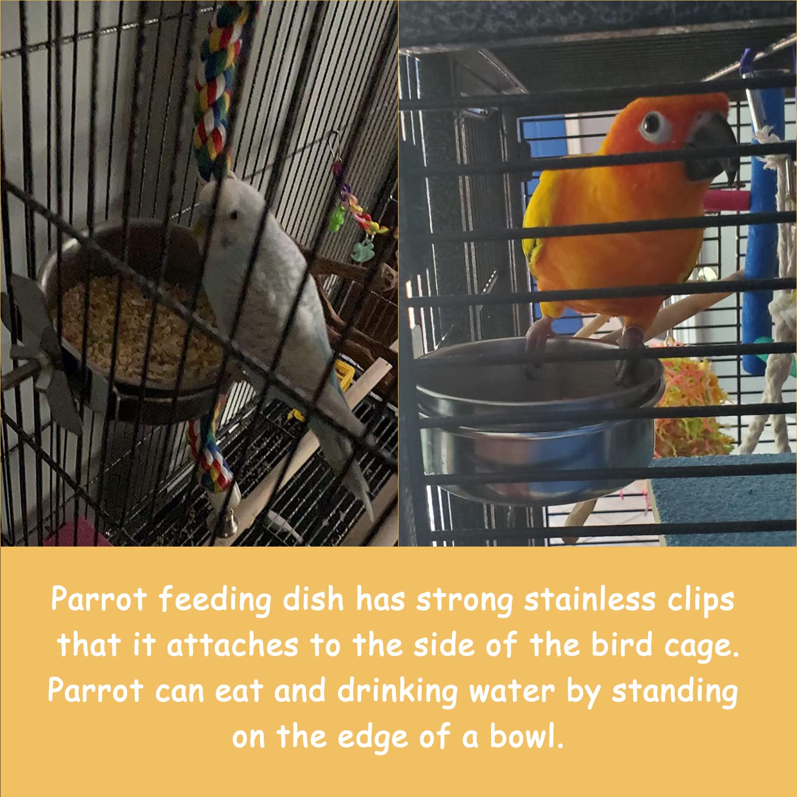 Kathson stainless bird water bowls stay clean and easy to refill.