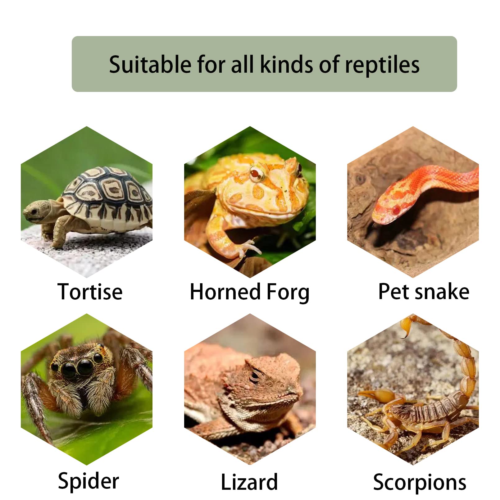 Kathson Turtle Basking Platform aquarium-ready ornament for small pets.