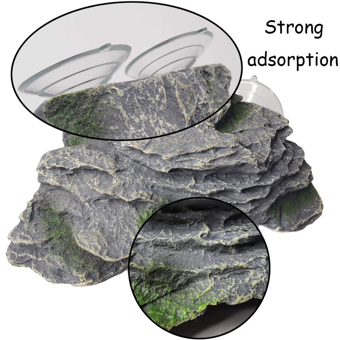 Kathson Turtle Basking Platform on rock surface offers stable exploratory time for small pets.