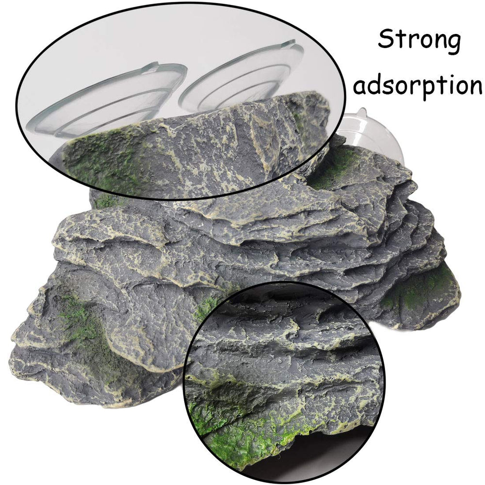 Kathson Turtle Basking Platform on rock surface offers stable exploratory time for small pets.