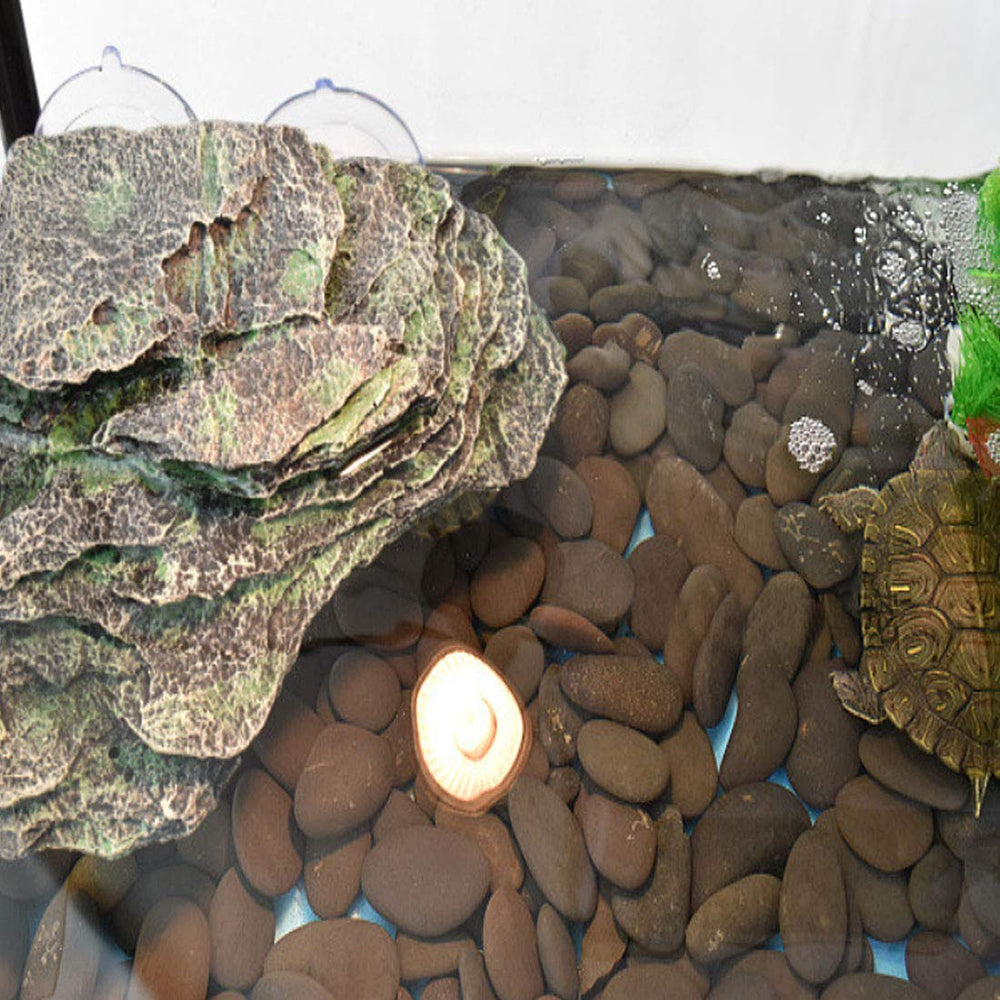 Kathson Turtle Basking Platform size compare demonstrates scalable habitat options.