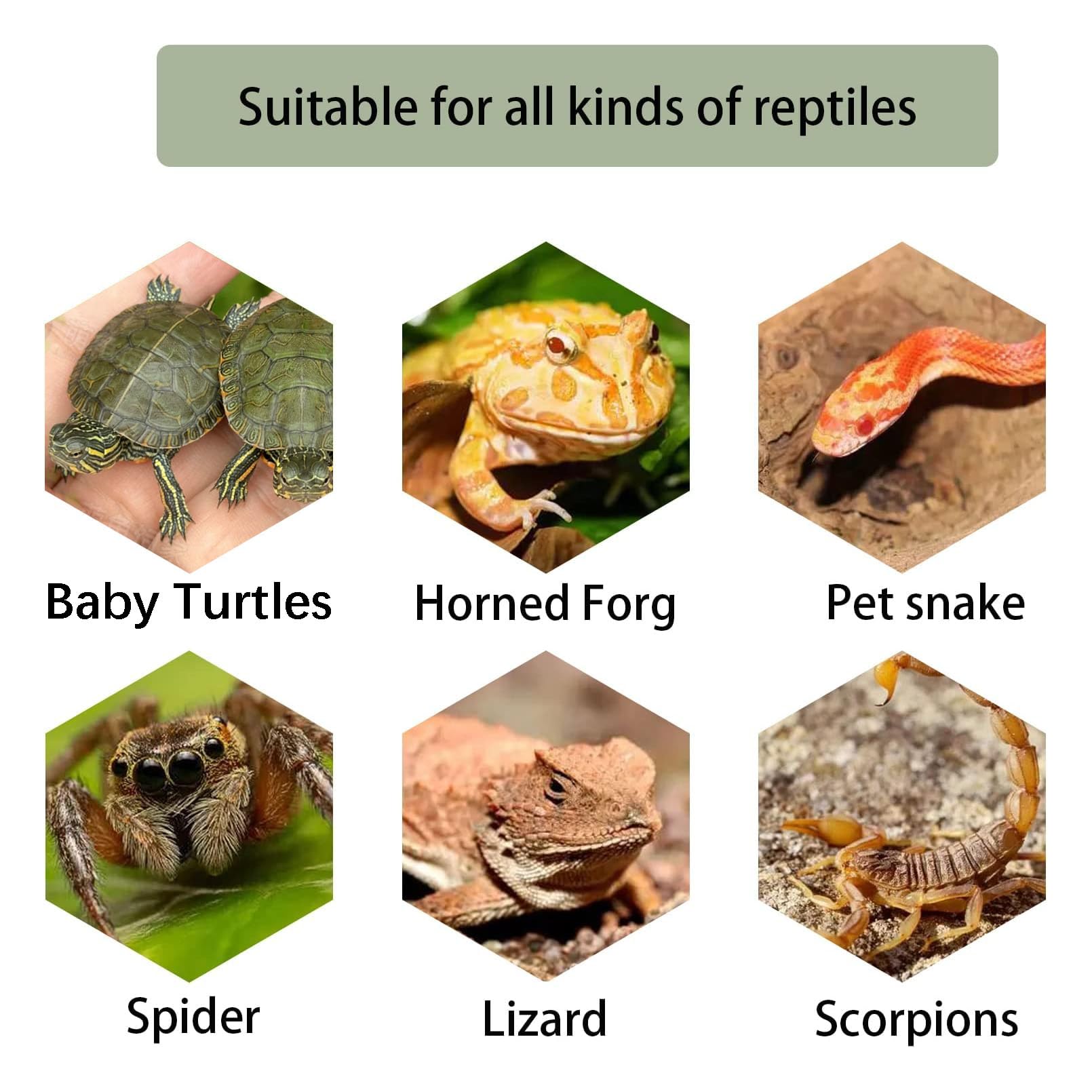 Kathson turtle compact-size-8-2-inch design fits small turtles under 4 inches.