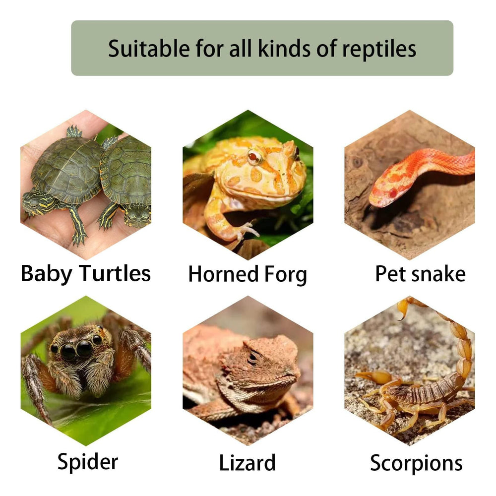 Kathson turtle compact-size-8-2-inch design fits small turtles under 4 inches.