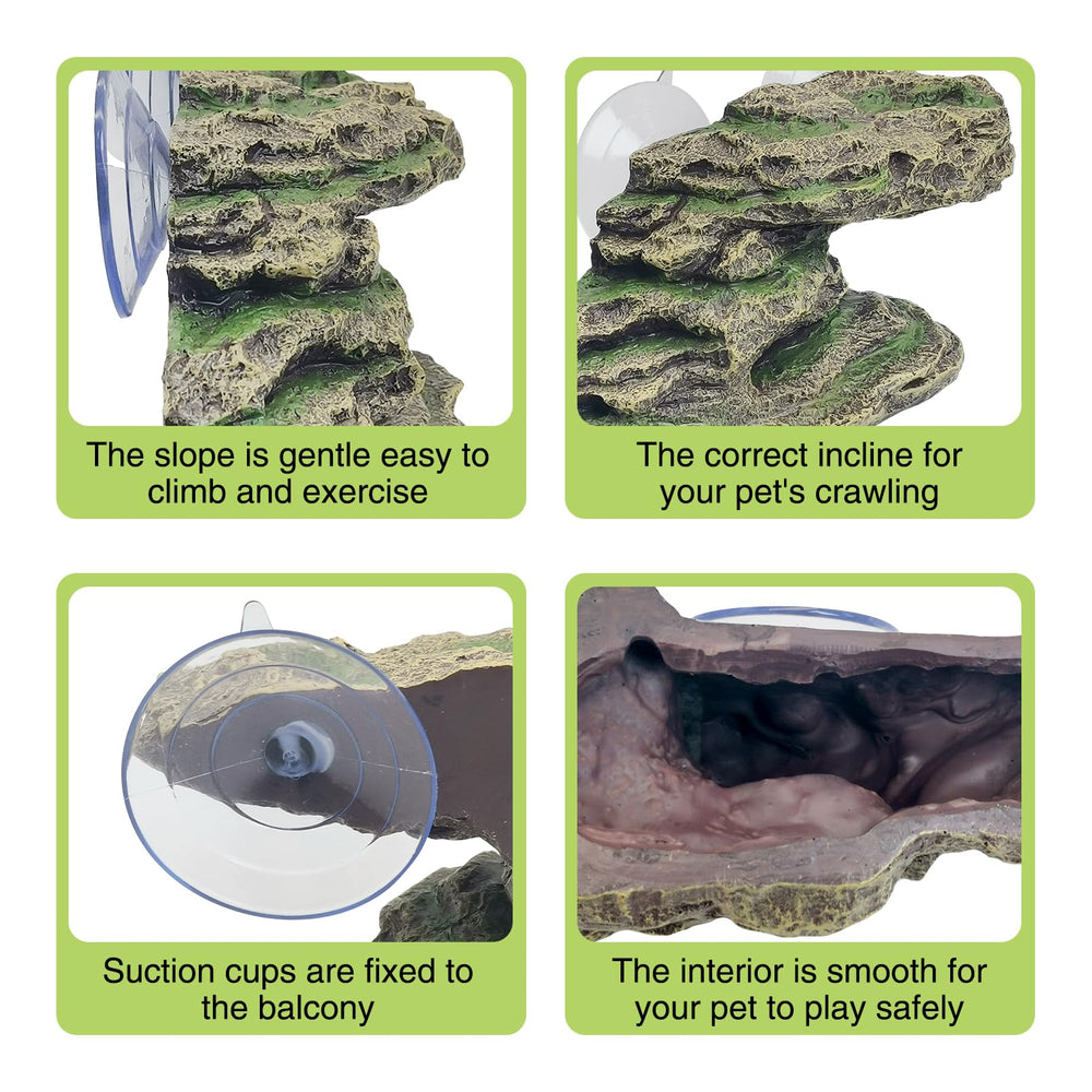kathson Turtle Platform: versatile for frogs, newts, lizards and small reptiles
