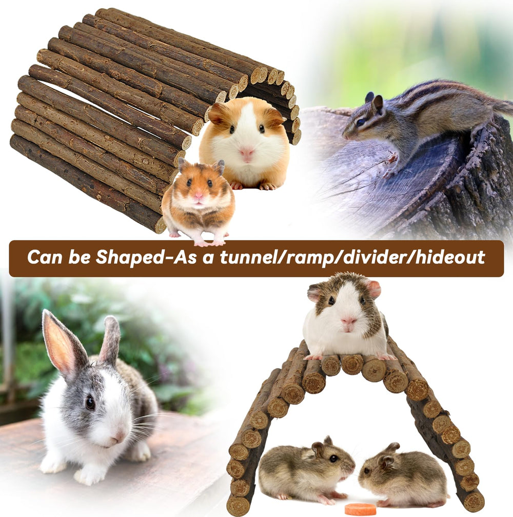 Kathson wooden bridge with tunnel design encourages exploration and safe chewing.