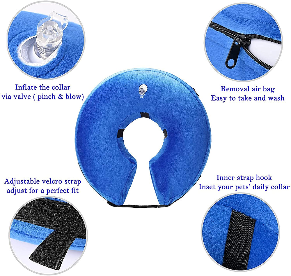 Katoggy inflatable dog cone collar in use enabling eating and drinking