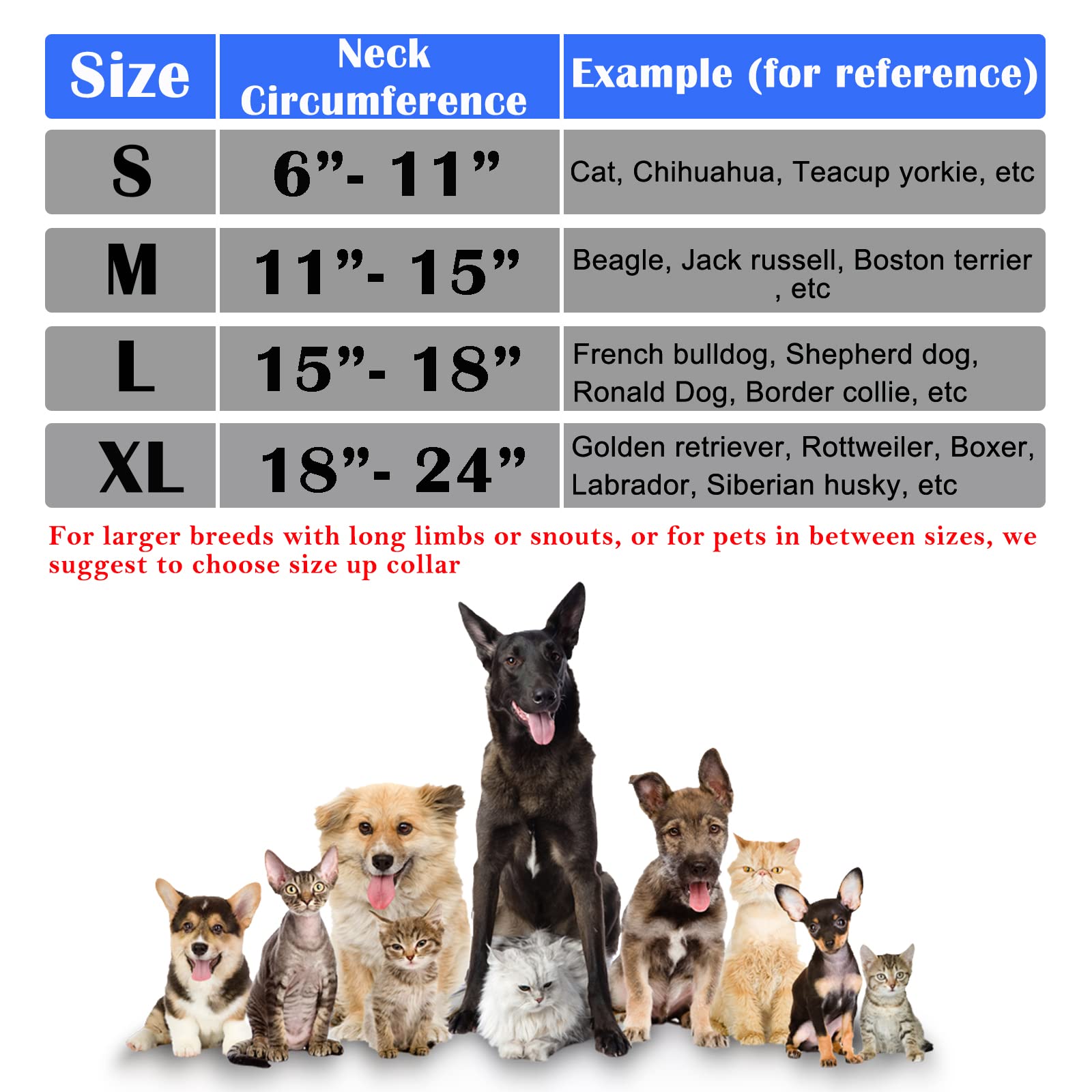 Katoggy inflatable dog cone collar worn by a dog during recovery