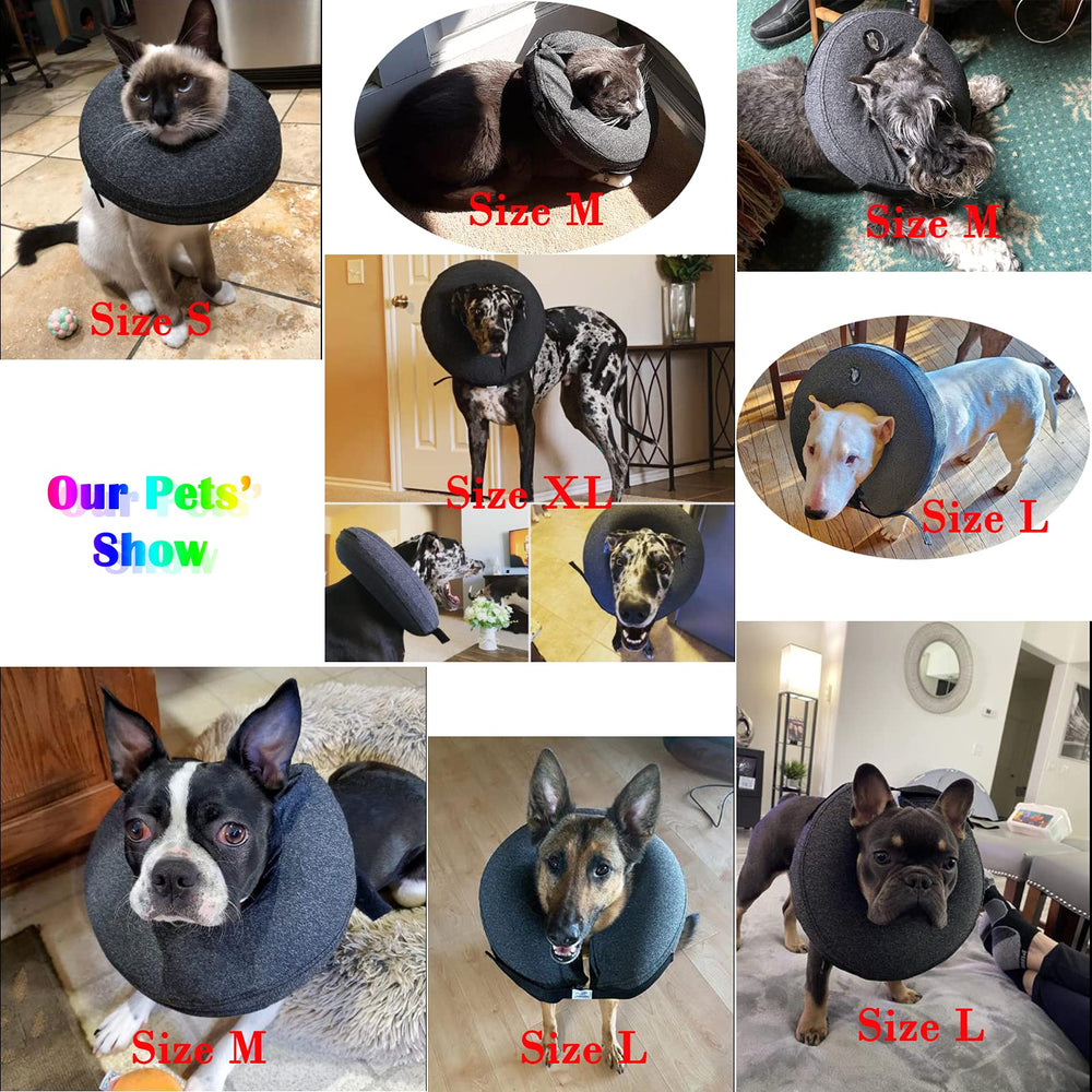 Katoggy outer plush is machine washable for quick care