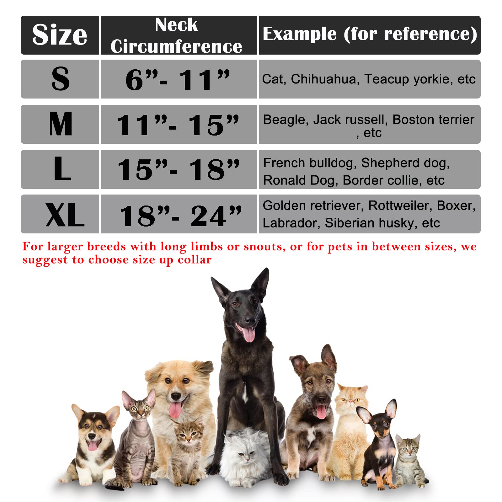Katoggy soft plush outside keeps dog comfortable without obstructing view