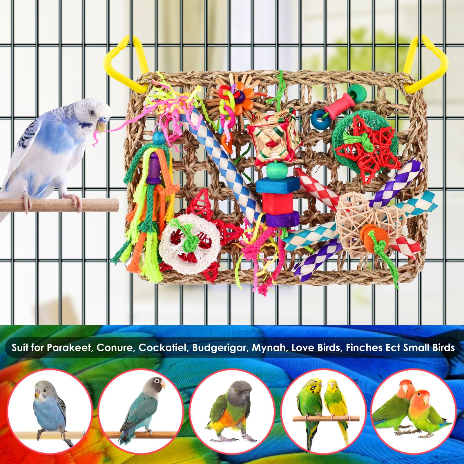 KATUMO acrylic chain flower stimulates batting and pecking.