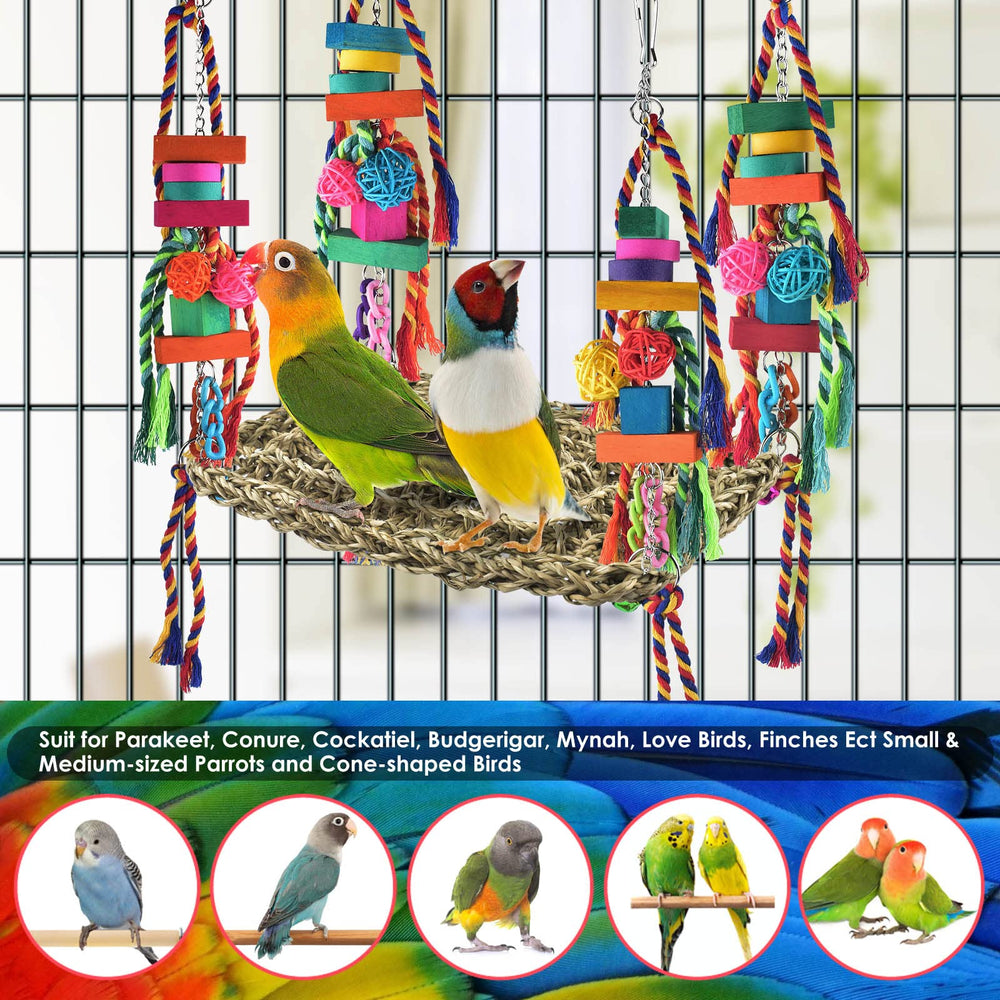 KATUMO easy-install bird toy with stainless chains invites exploration.