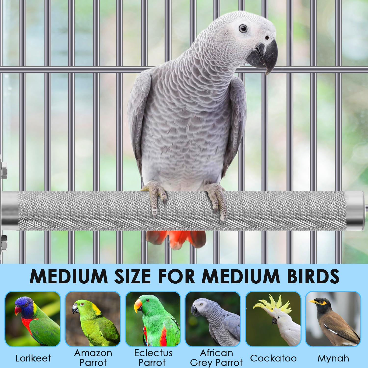 KATUMO parrot perch in cage demonstrates flexible placement options