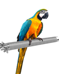 KATUMO parrot perch rough surface texture for natural grooming and foot activity