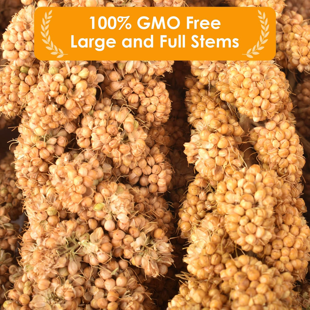 KATUMO millet easy to store in a cool, dry place.