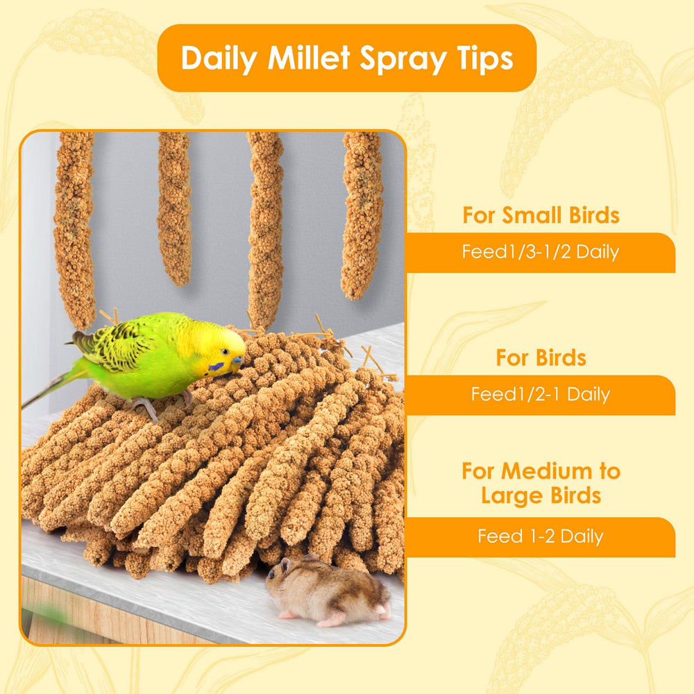 KATUMO millet suitable for many bird species, including canaries and parakeets.