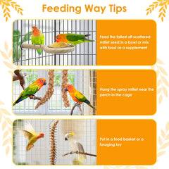 KATUMO millet with shell supports beak grinding and digestion.