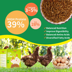 KAYHEN non-GMO label signals natural sourcing