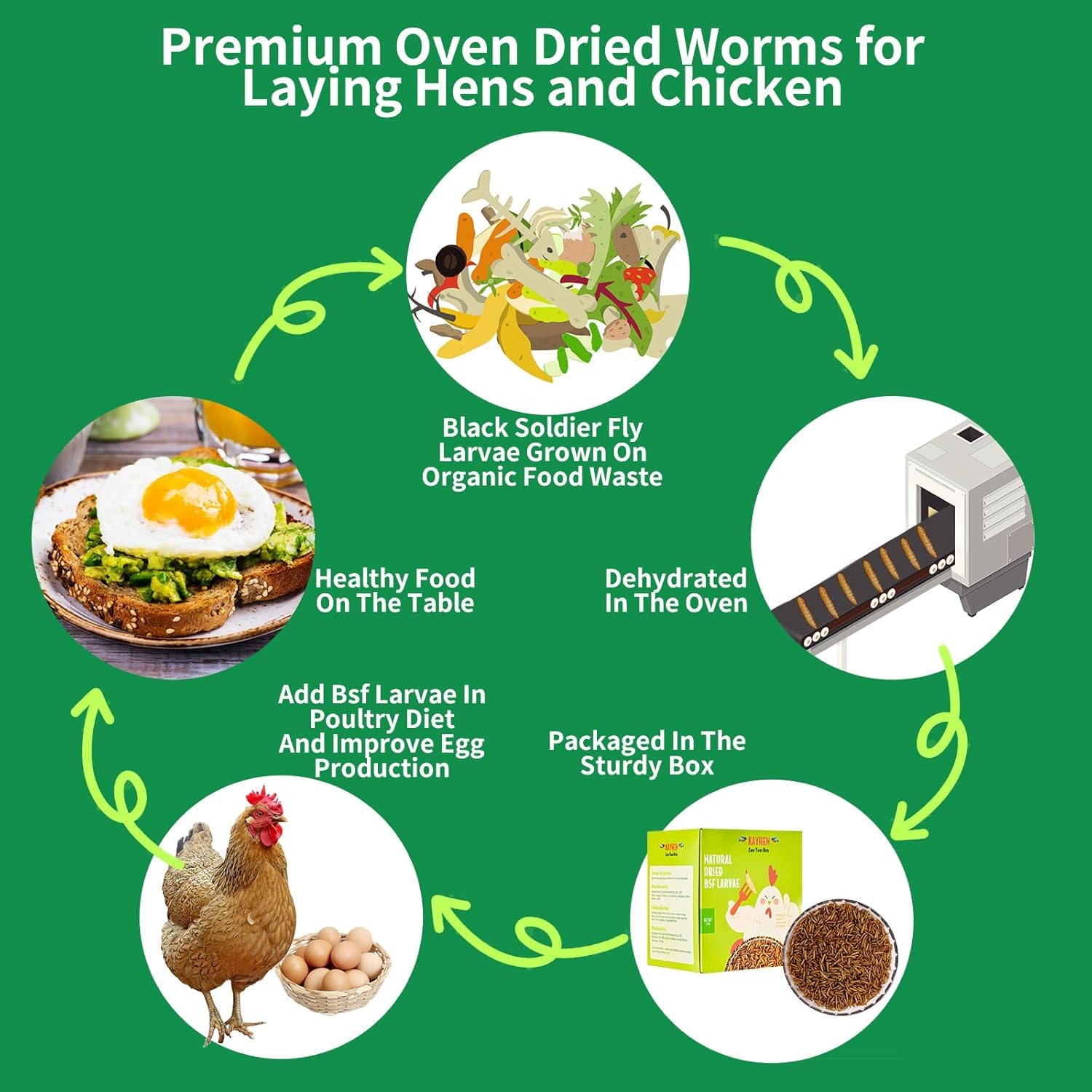 KayHEN BSFL larvae offer a high-protein boost for poultry.