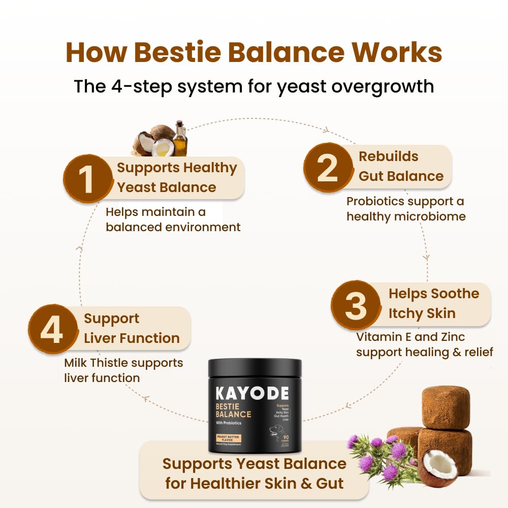 Kayode Bestie Balance dog probiotic chews being offered as a tasty daily treat.