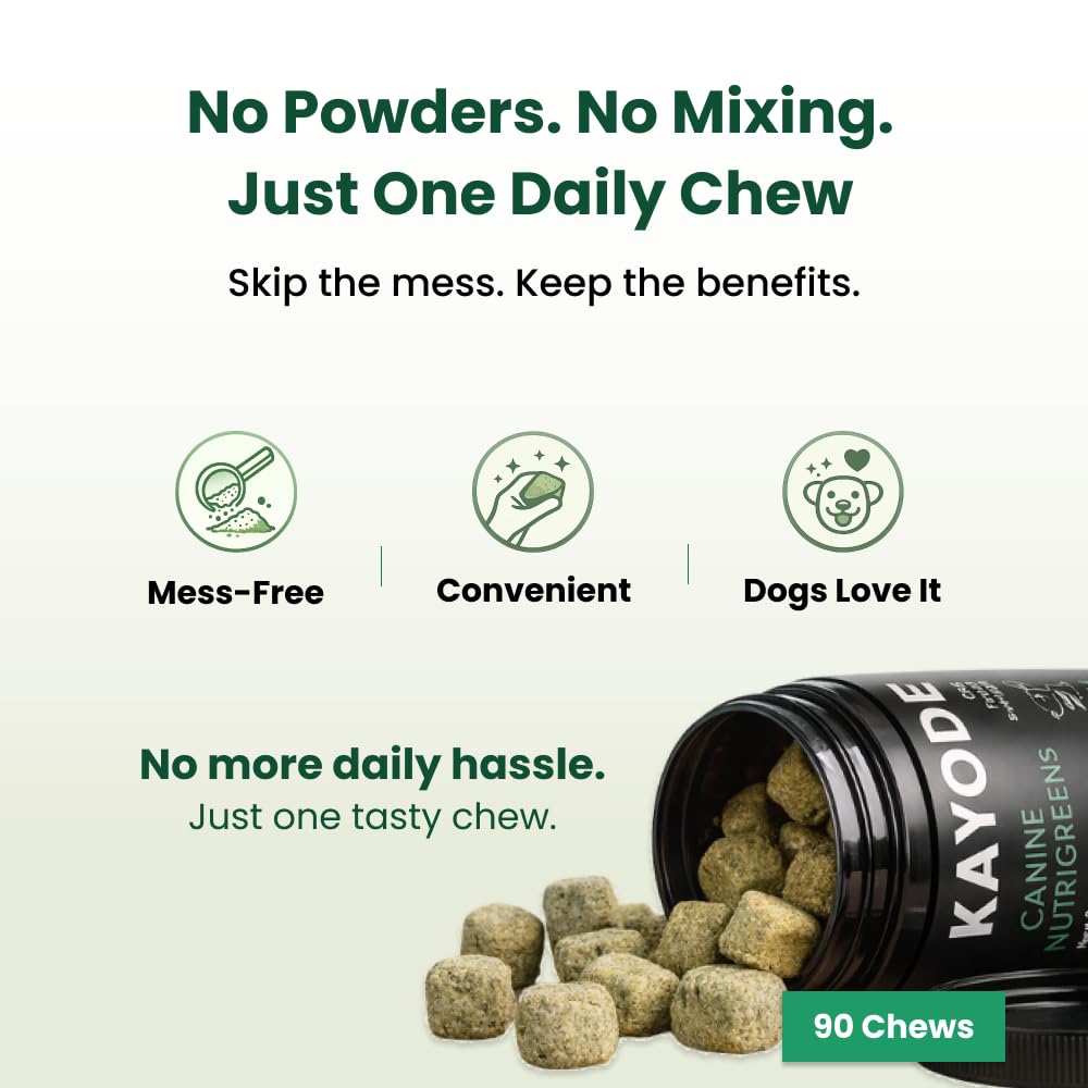 Kayode Canine NutriGreens dog eating with kibble demonstrates easy use