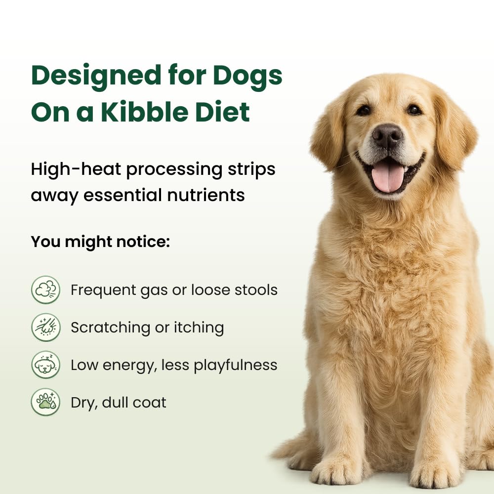Kayode Canine NutriGreens label closeup highlights spirulina kelp and berry blends for balanced nutrition