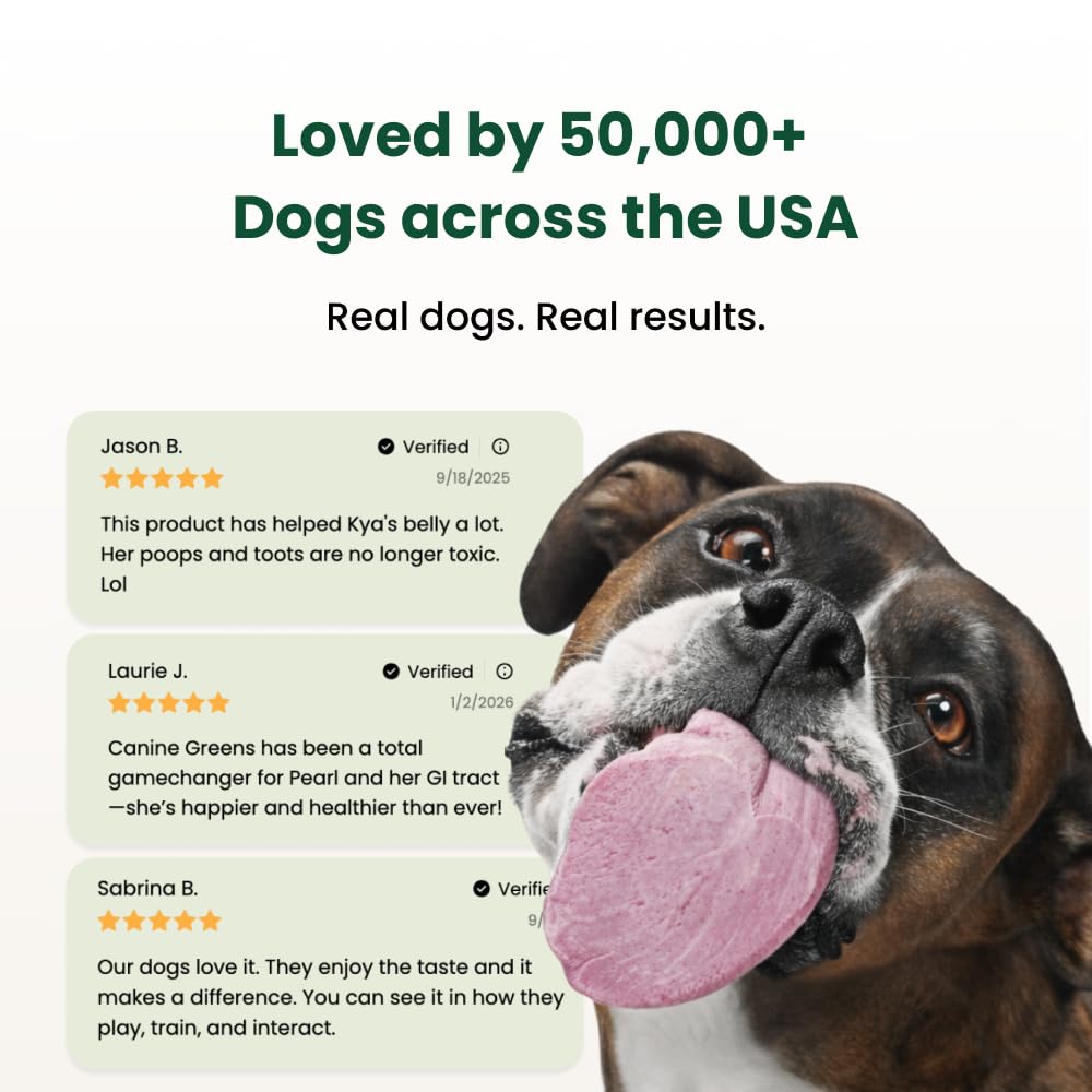 Kayode Canine NutriGreens no-mess chews ideal for travel and daily feeding