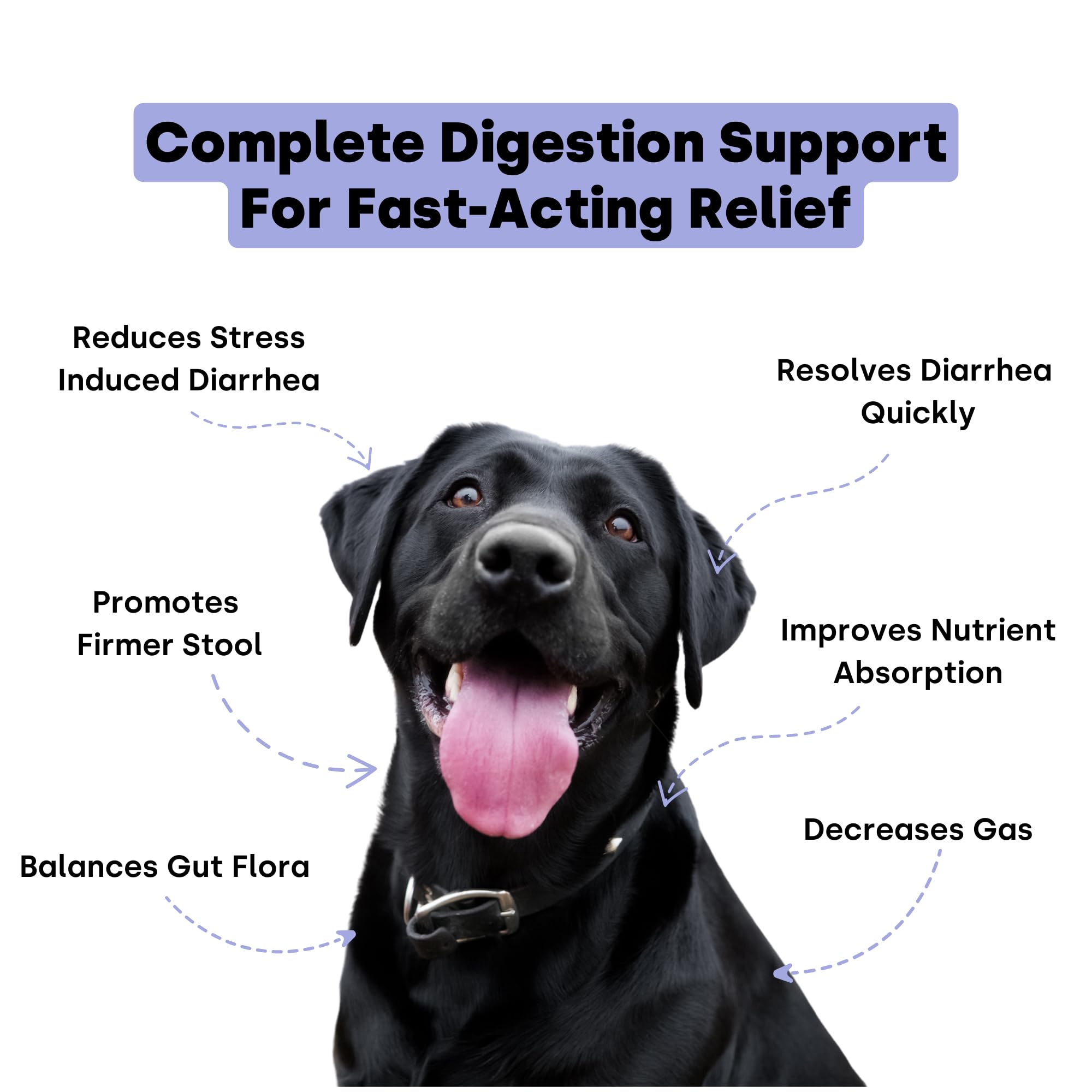 Kayode Ultimate Digestion dog-chews close-up for faster digestion support.