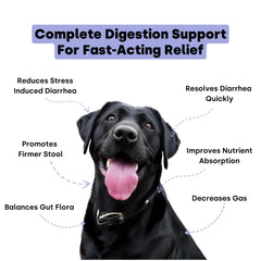 Kayode Ultimate Digestion dog-chews close-up for faster digestion support.