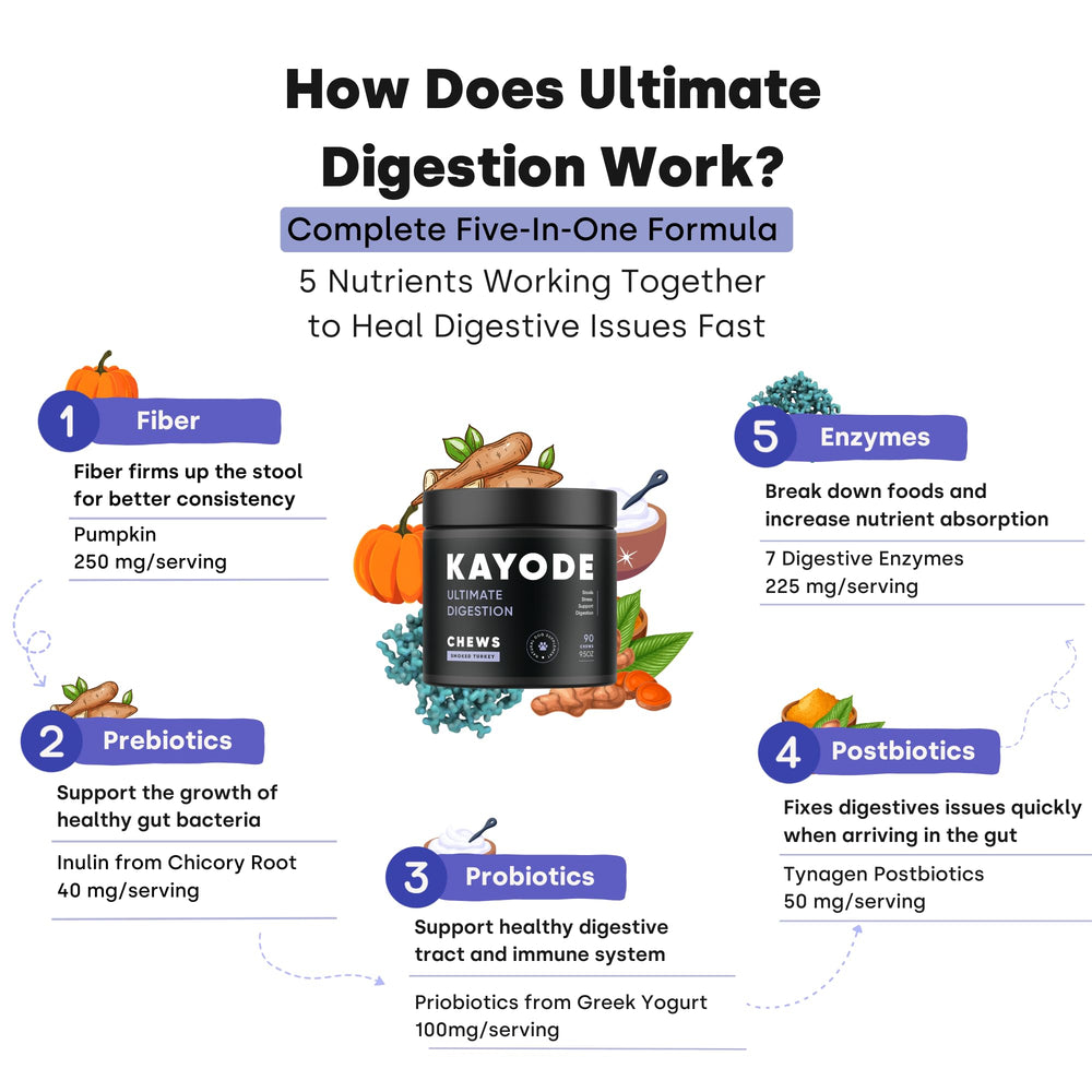 Kayode Ultimate Digestion pumpkin-fiber close-up showing gut-friendly fiber.