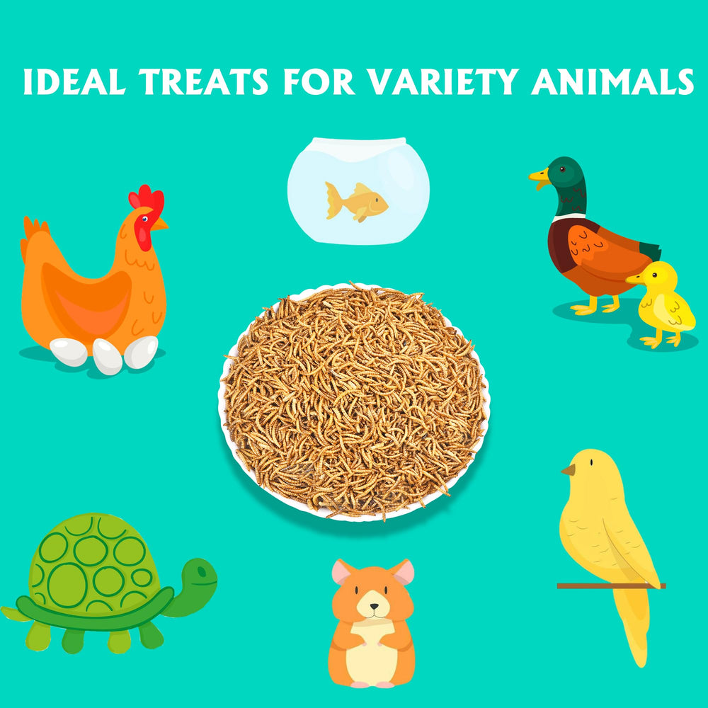KAYPET dried mealworms resealable bag preserves freshness for storage.