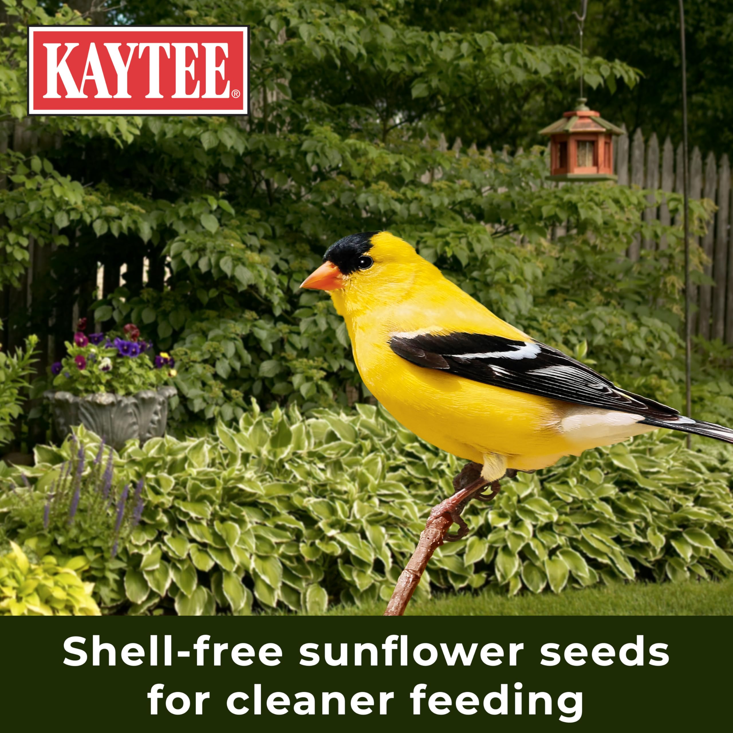 Kaytee 100 percent consumable seed supports birds without waste.