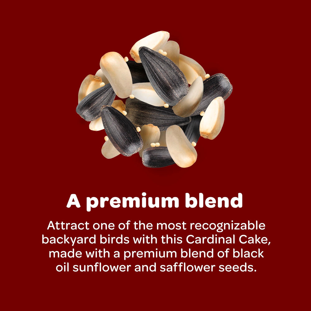 Cardinal Seed Cake in a cake feeder awaiting visiting birds.