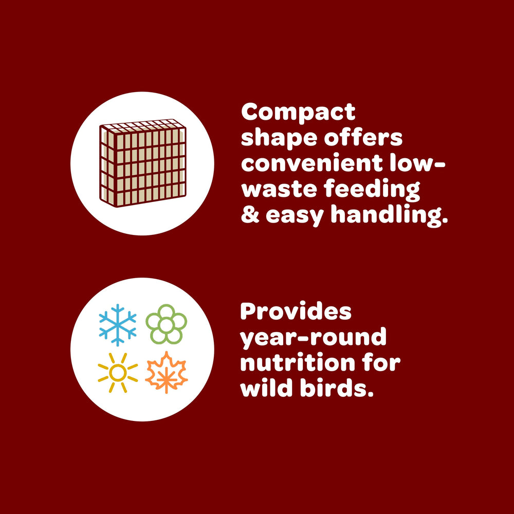Kaytee Cardinal Seed Cake packaging emphasizes long-lasting feeding performance.