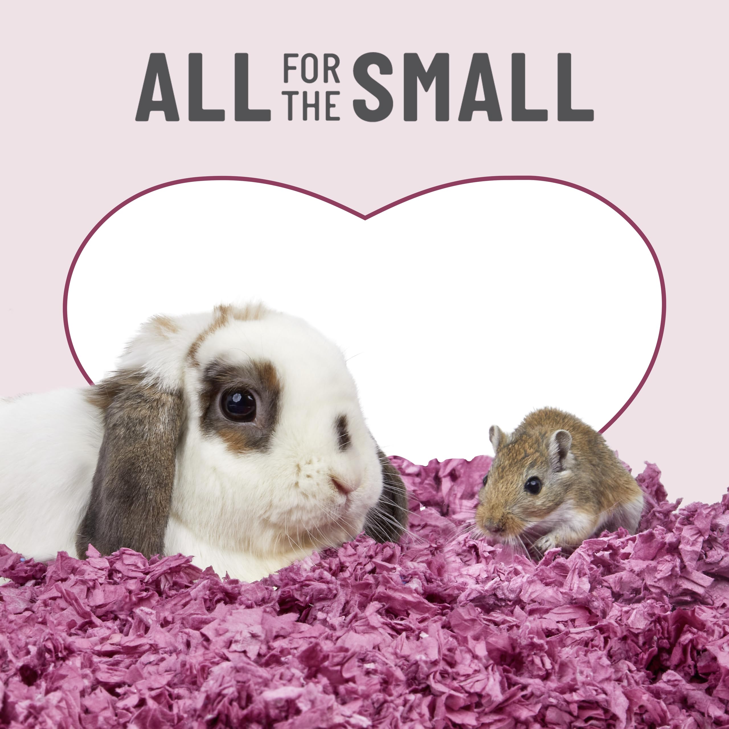 Kaytee color options brighten habitats with safe, comfy bedding.