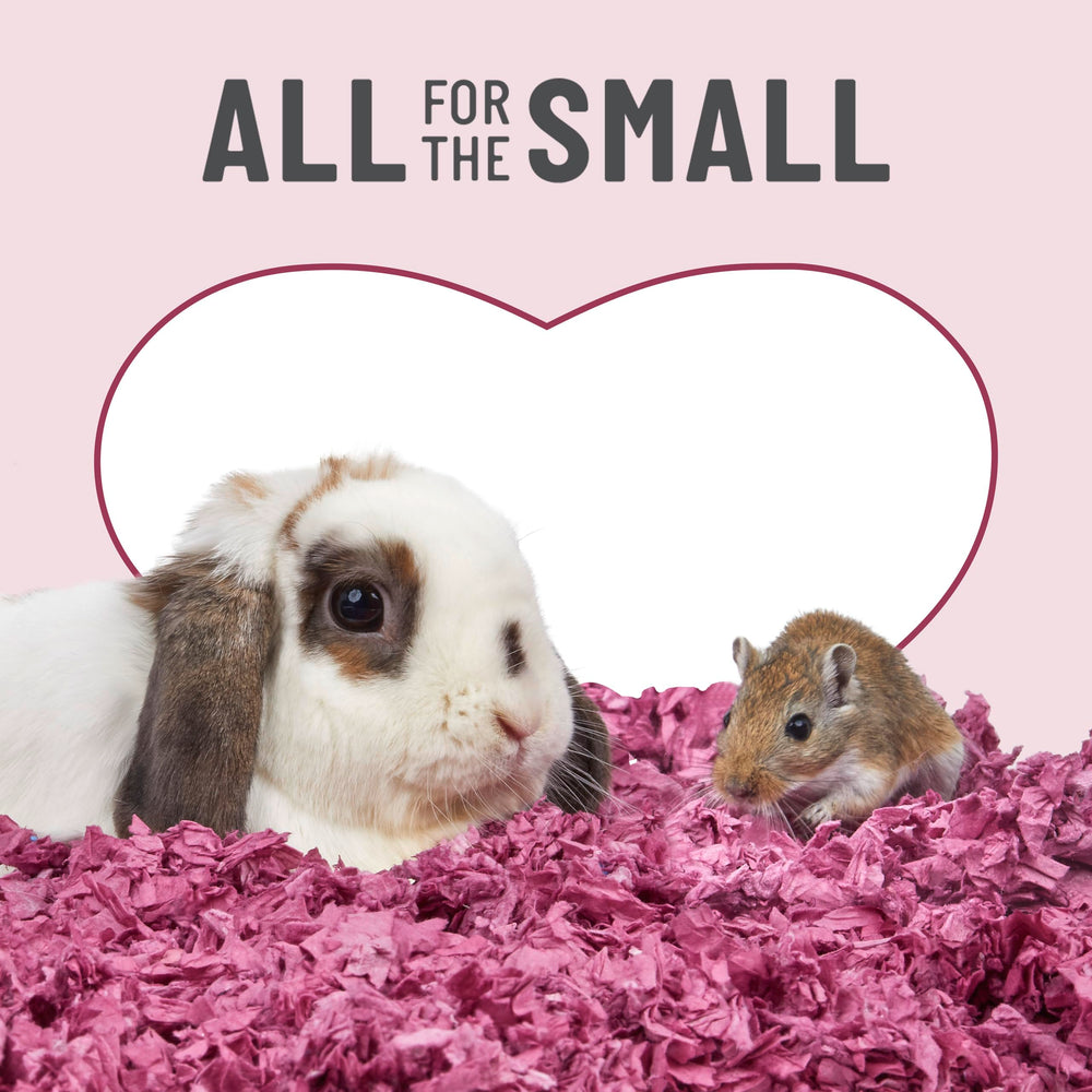 Kaytee color options brighten habitats with safe, comfy bedding.