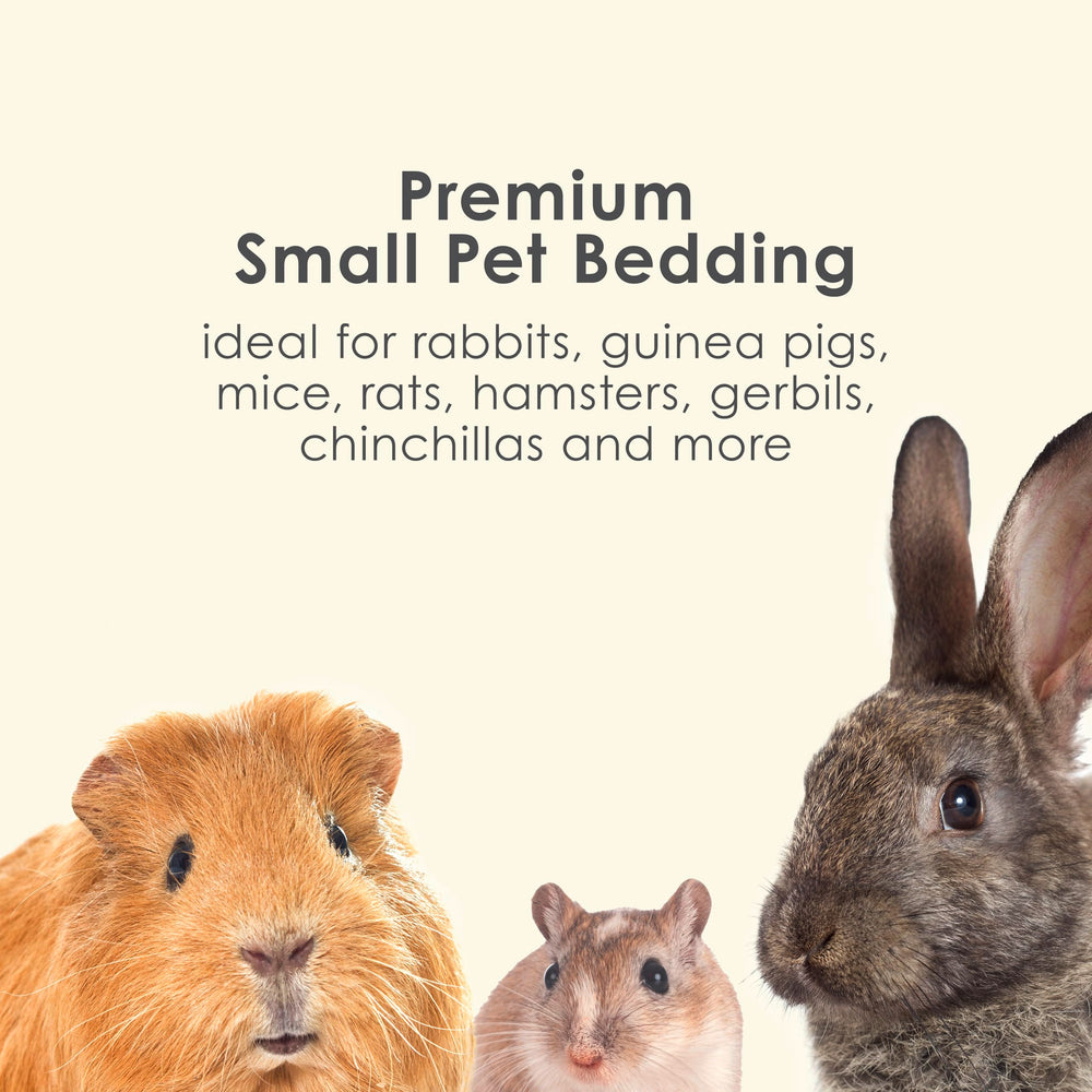 Kaytee Clean & Cozy Colors fragrance-free bedding avoids added scents for sensitive pets.