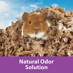 Open bag of Kaytee Clean & Cozy Lavender Bedding in a tidy cage.