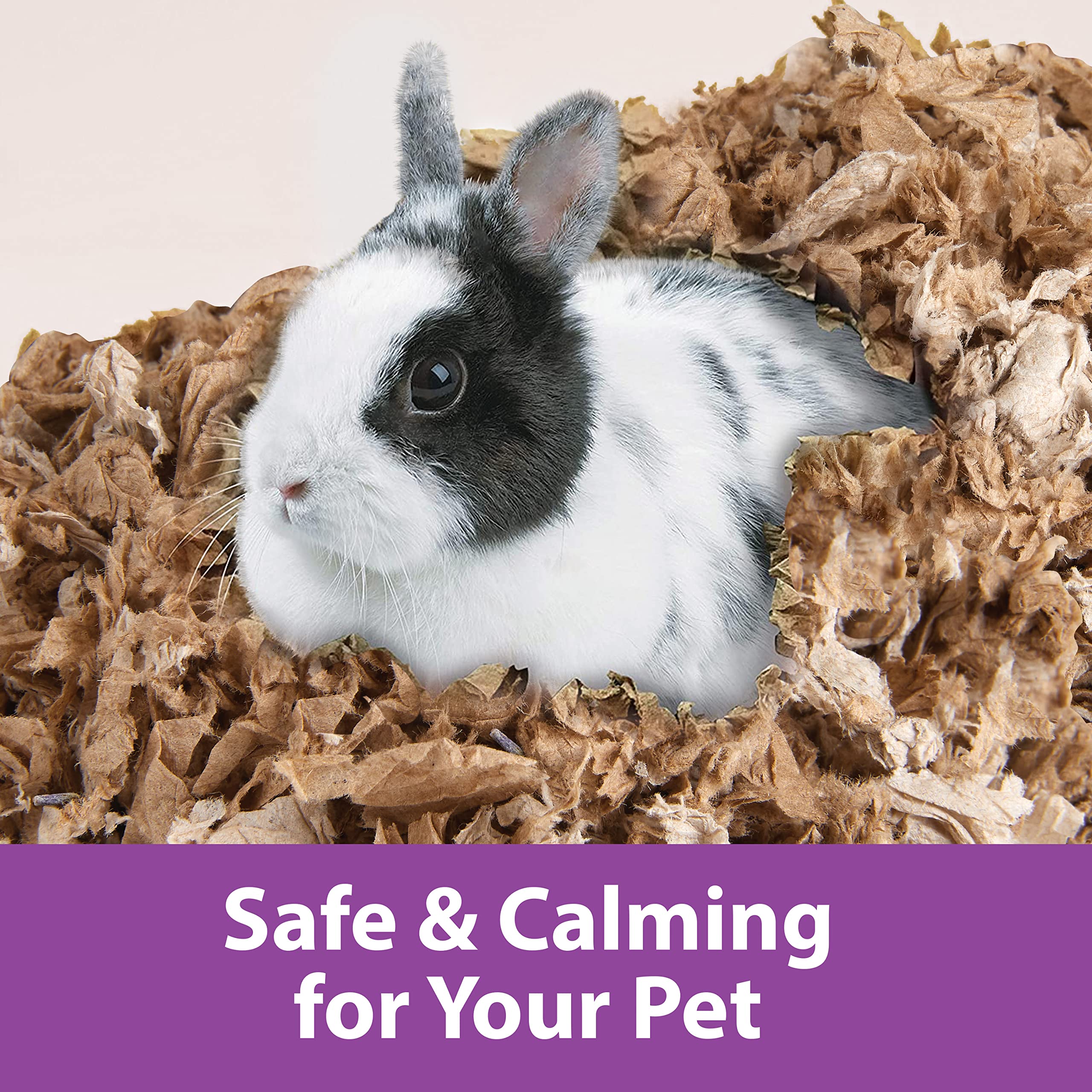 Natural materials in Kaytee bedding support a dust-free, comfortable habitat.