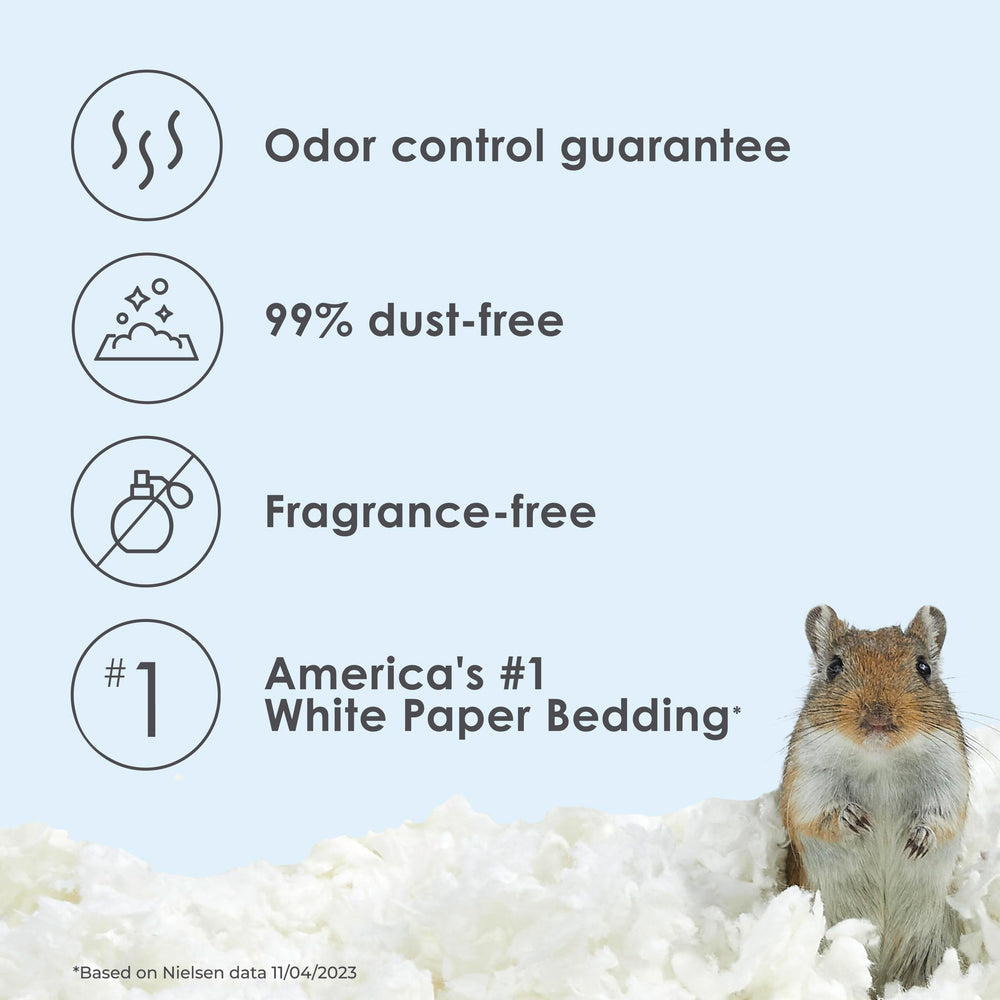 Kaytee Clean & Cozy bedding in habitat setup demonstrates easy placement and clean comfort.