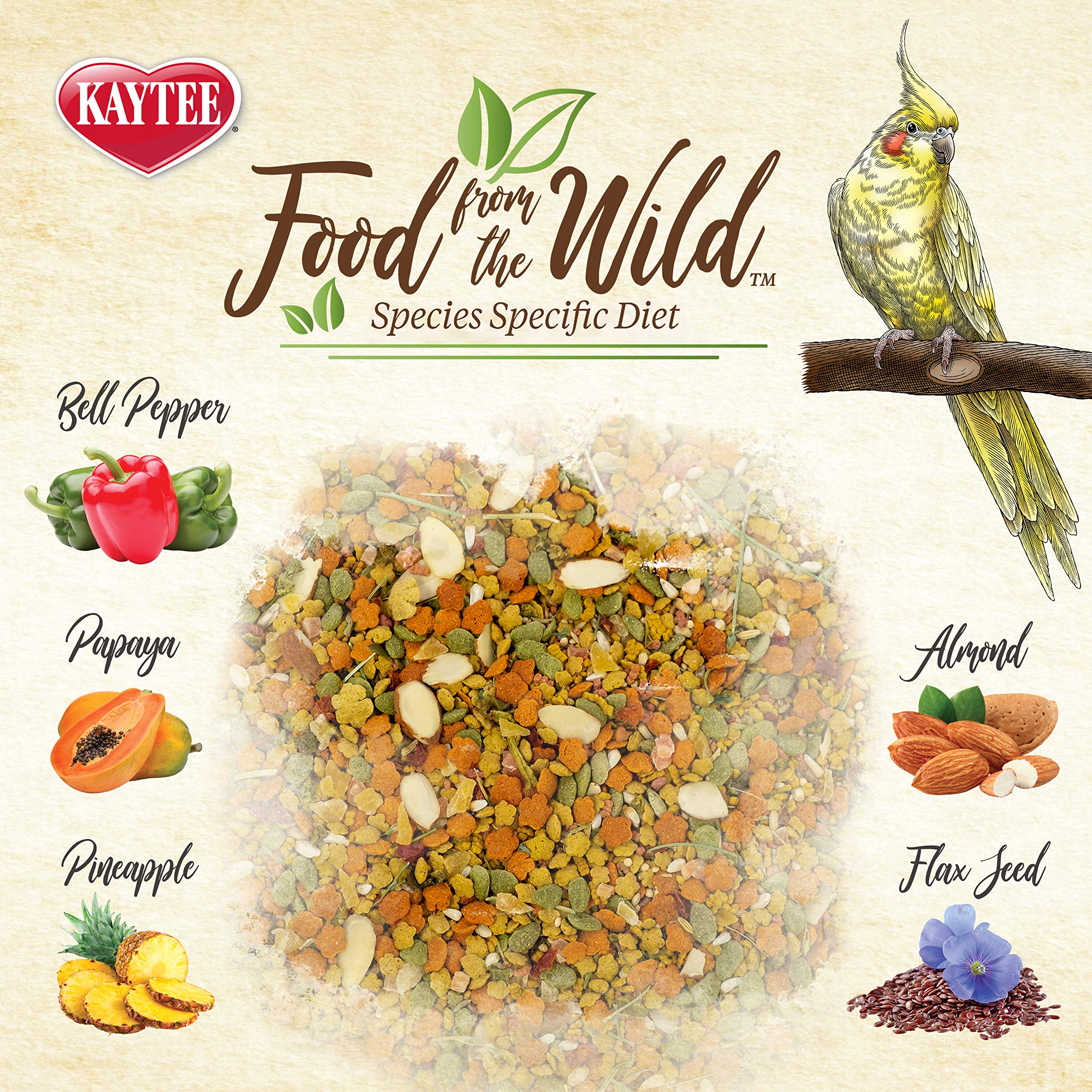 KayTEE cockatiel bell peppers close-up showcases colorful vegetables for nibbling.