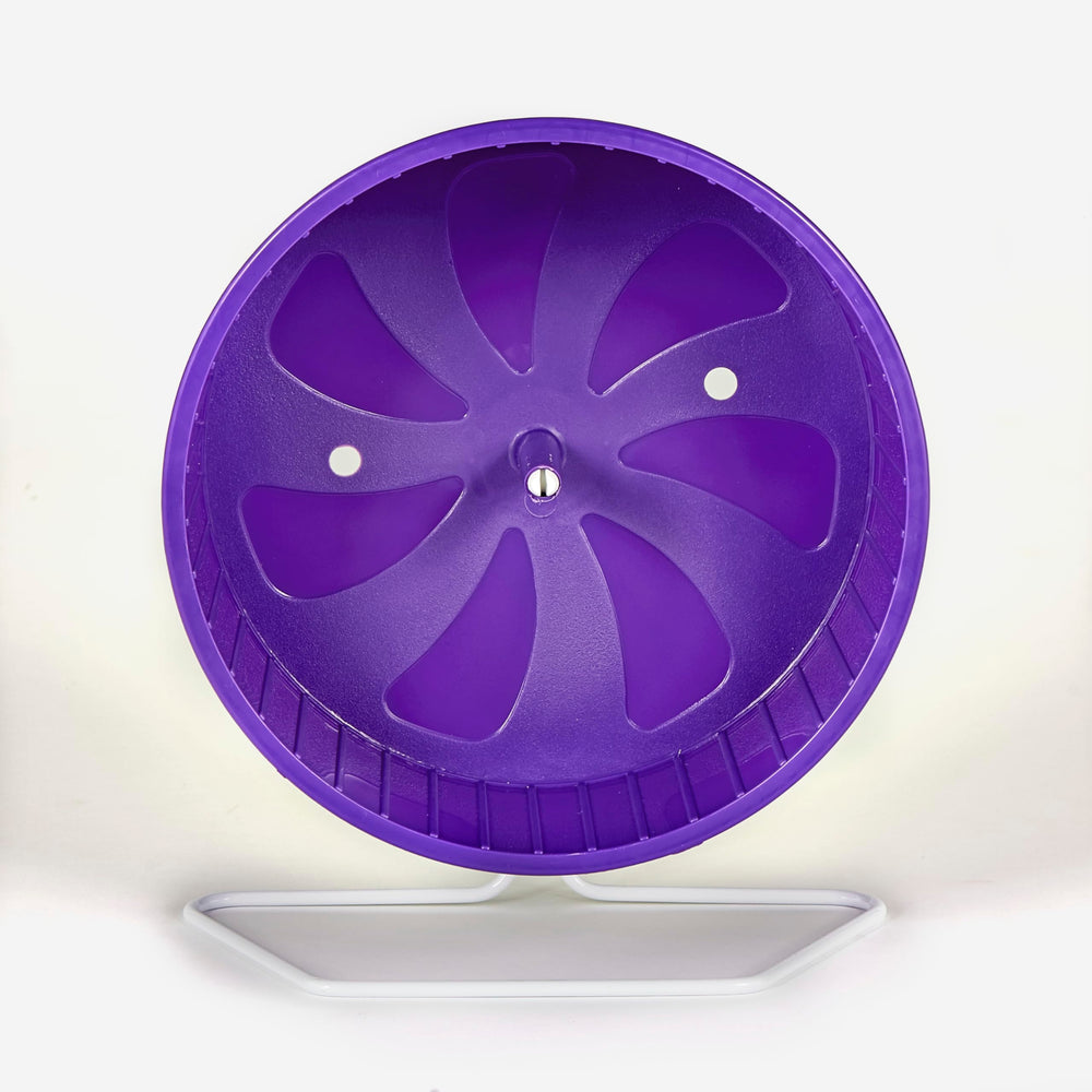 Kaytee Comfort Wheel 8.5-inch color variations purple green blue highlight visual appeal.